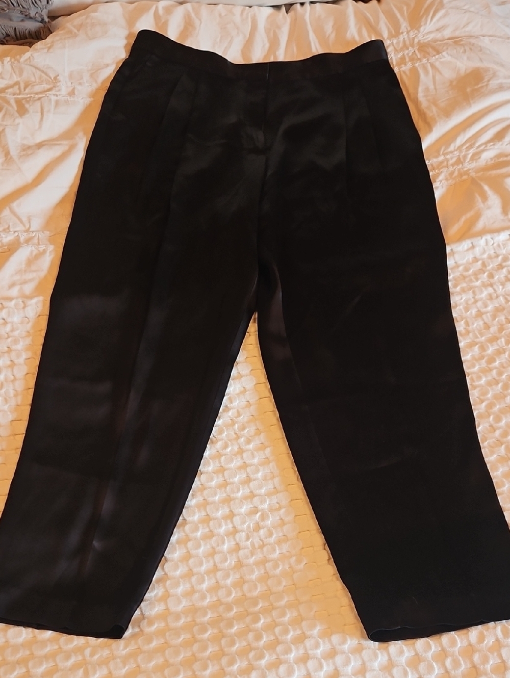 Babaton Black Pleated Dress Trousers